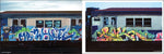 Spray Nation image 7