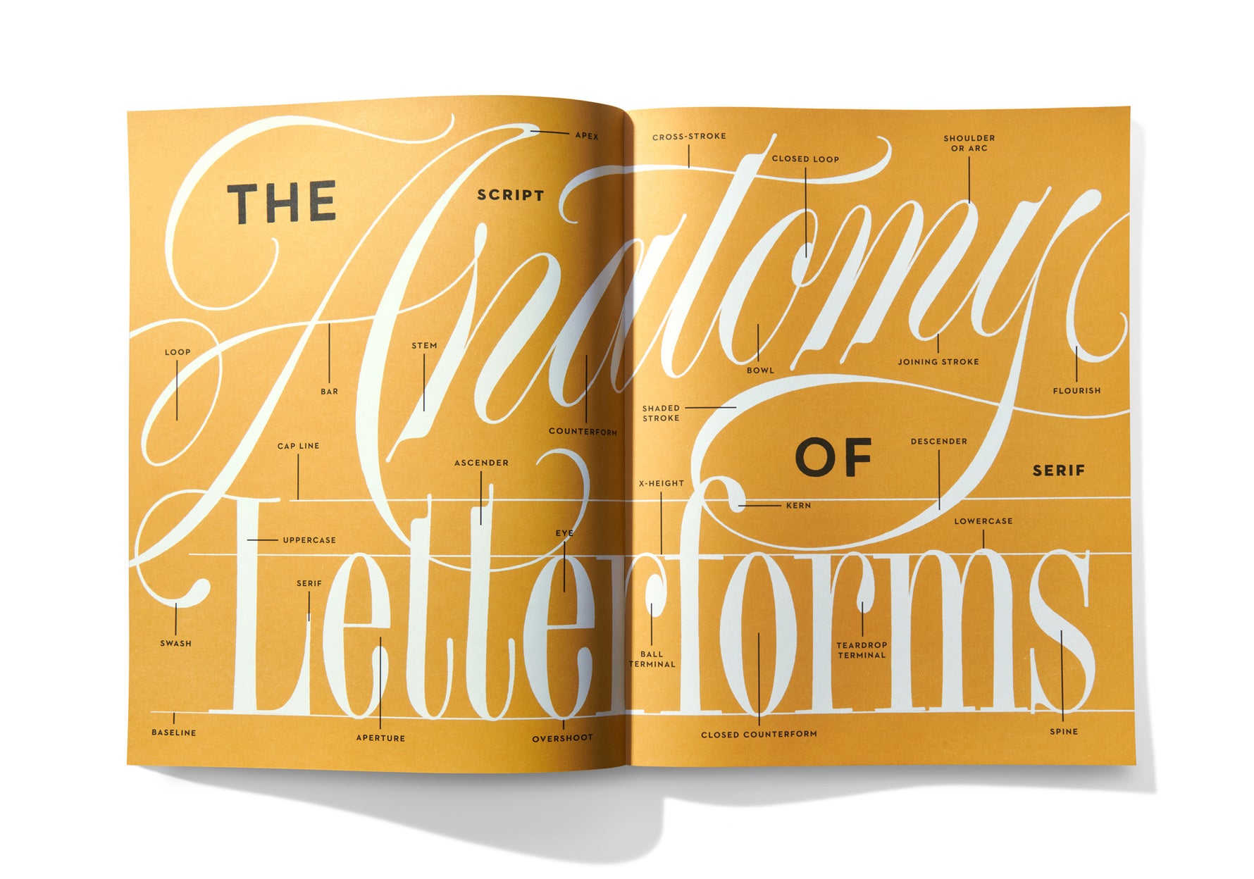 Lettering Manual image 2