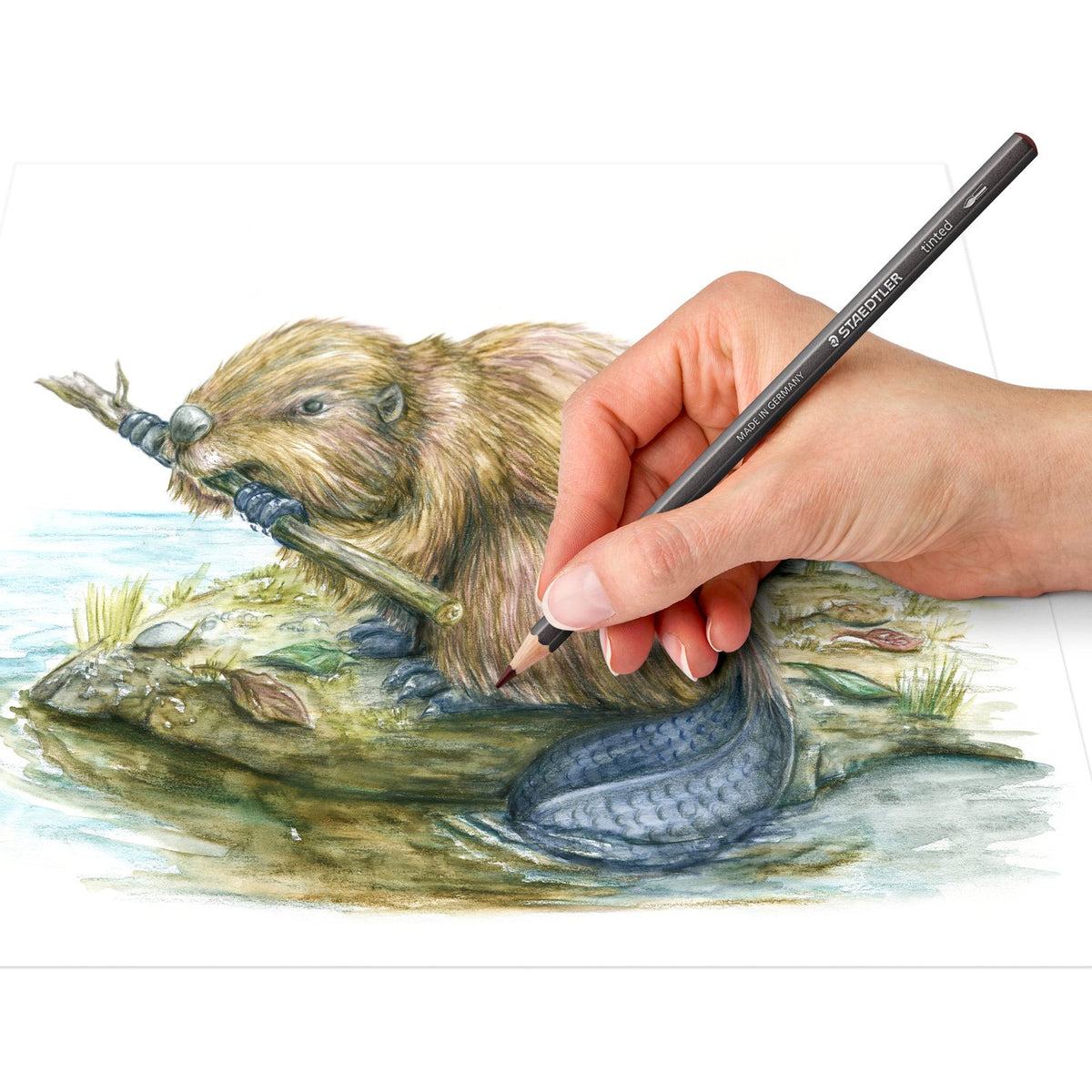 Tinted Watercolour Pencils image 4