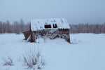 Rubin: New York / Scandinavia image 3