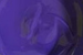 Screen Printing Ink - For Darks - Purple image