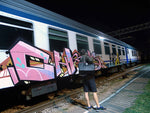 18 Pack Spray Can Bag image 3