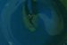 Screen Printing Ink - For Darks - Emerald image