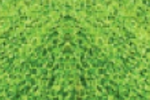 Glitterlites - 29.5ml - - Emerald image