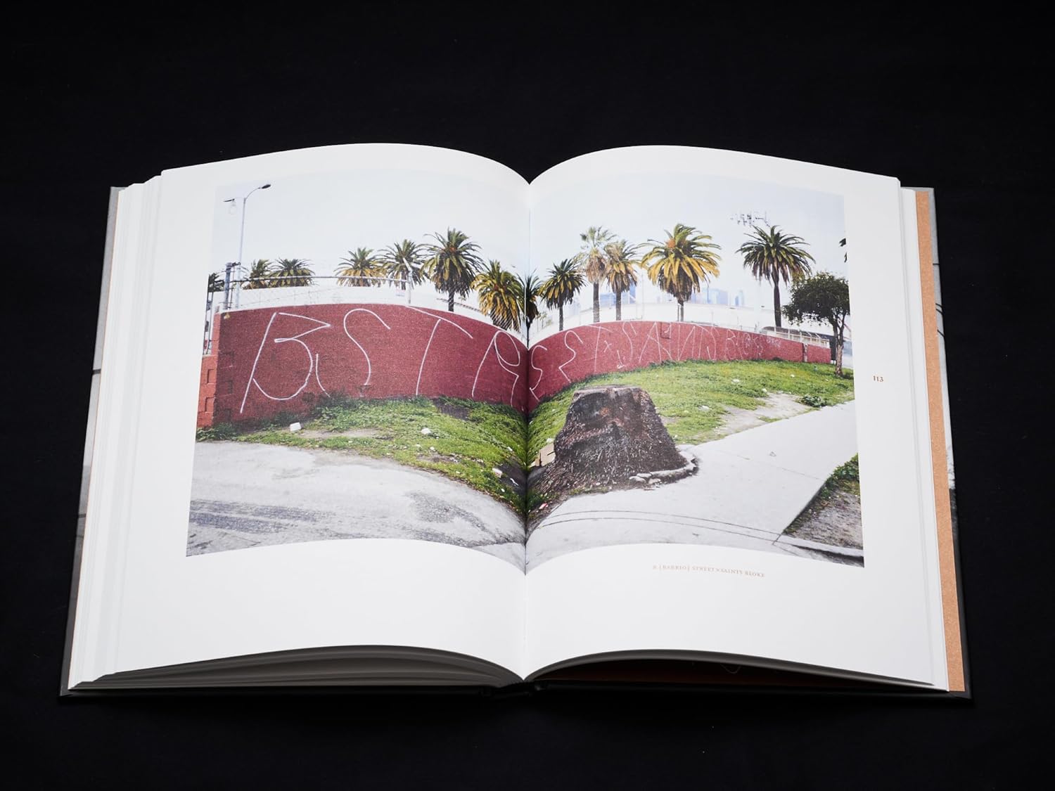 Cholo Writing image 3