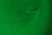 Screen Printing Ink - For Darks - Light Green image