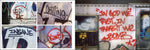 Spray Nation image 4