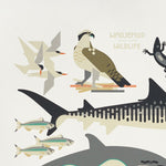 Amok Island Wadjemup Wildlife Screen Print image 1