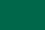 MOLOTOW Aqua Color Marker - 015 Dark Green image