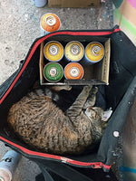 12 Pack Spray Can Bag image 13